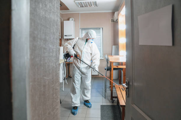 Best Attic Mold Removal  in Los Banos, CA
