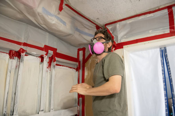 Best Asbestos and Lead Testing During Mold Inspection  in Los Banos, CA