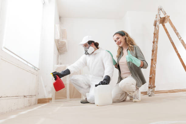 Best Emergency Mold Remediation  in Los Banos, CA