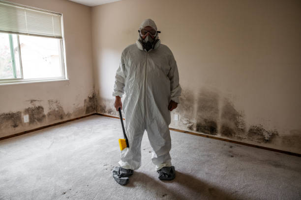Best Biohazard Mold Removal  in Los Banos, CA